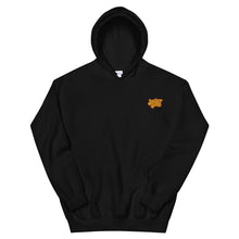 Load image into Gallery viewer, Sunset Sound Hoodie (Embroidery)