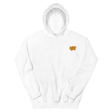 Load image into Gallery viewer, Sunset Sound Hoodie (Embroidery)