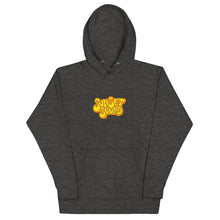 Load image into Gallery viewer, Sunset Sound Official Hoodie
